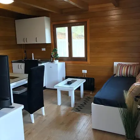 Etno Selo Rasinski Lug 公寓 Ravni