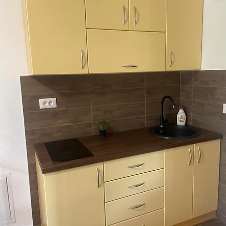 公寓 Etno Selo Rasinski Lug