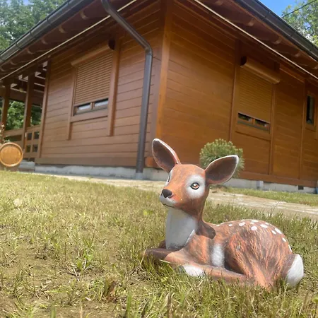 Etno Selo Rasinski Lug 公寓