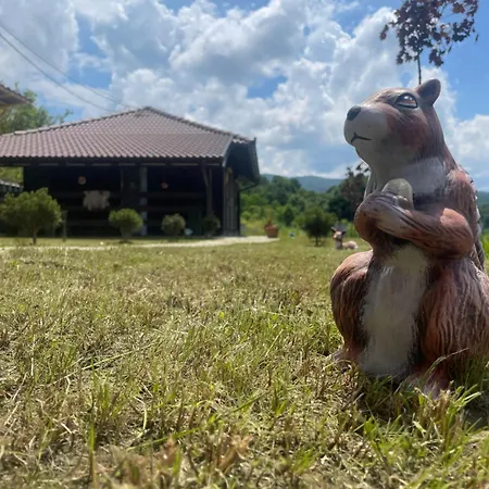 公寓 Etno Selo Rasinski Lug *