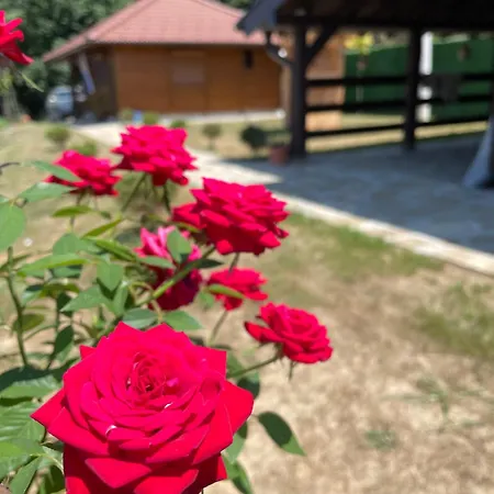 Etno Selo Rasinski Lug 公寓 Ravni