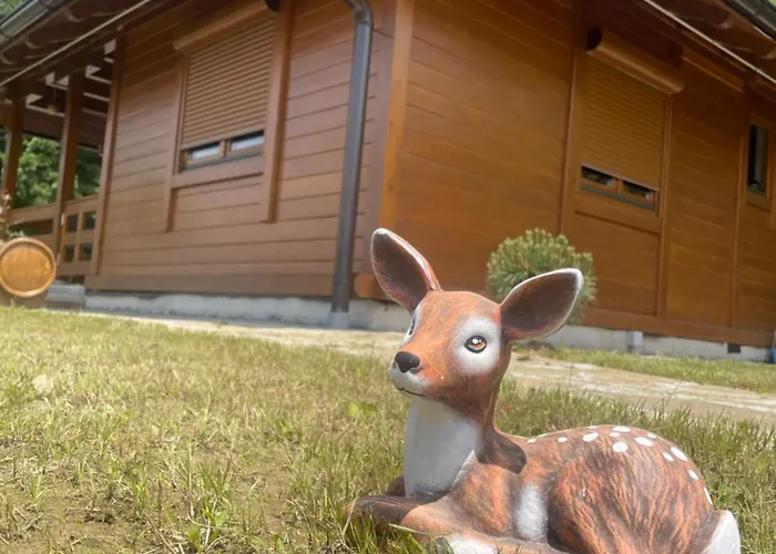 Etno Selo Rasinski Lug Apartman