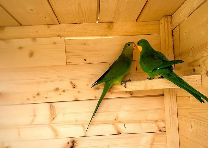 Etno Selo Rasinski Lug