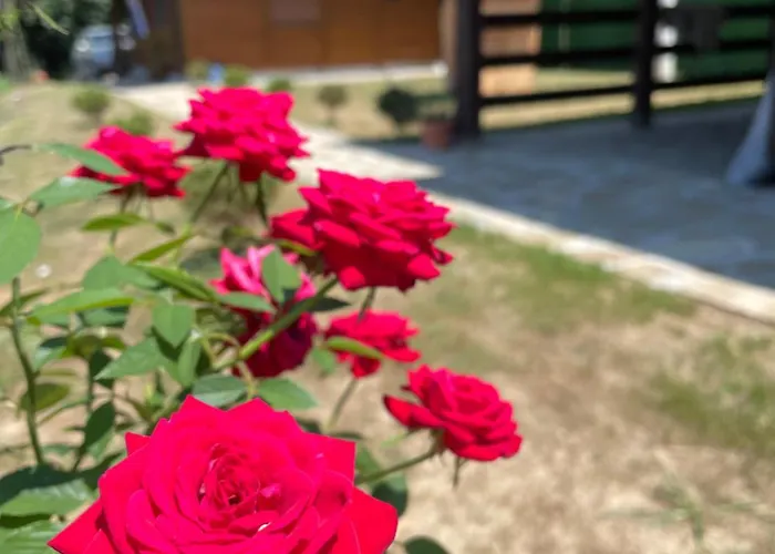 Etno Selo Rasinski Lug Apartman Ravni