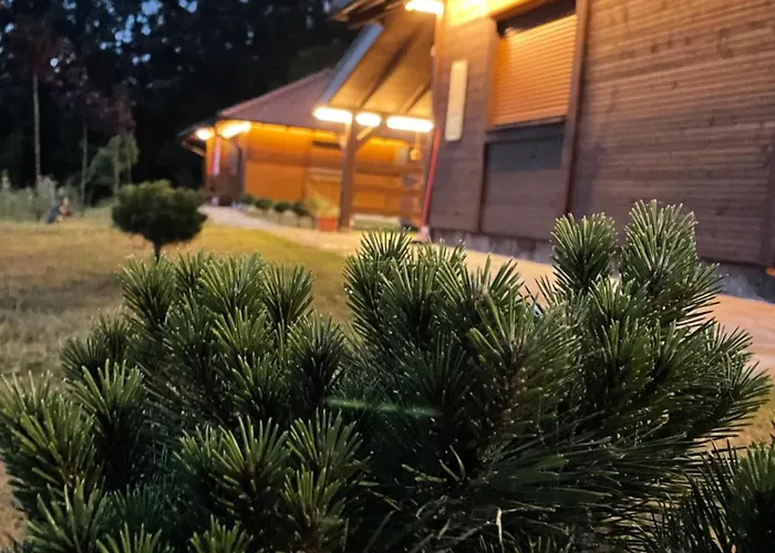 Apartman Etno Selo Rasinski Lug *